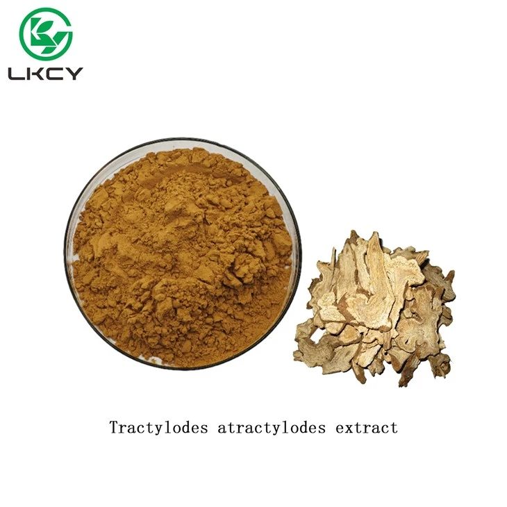 Tractylodes Atractylodes ekstrakt